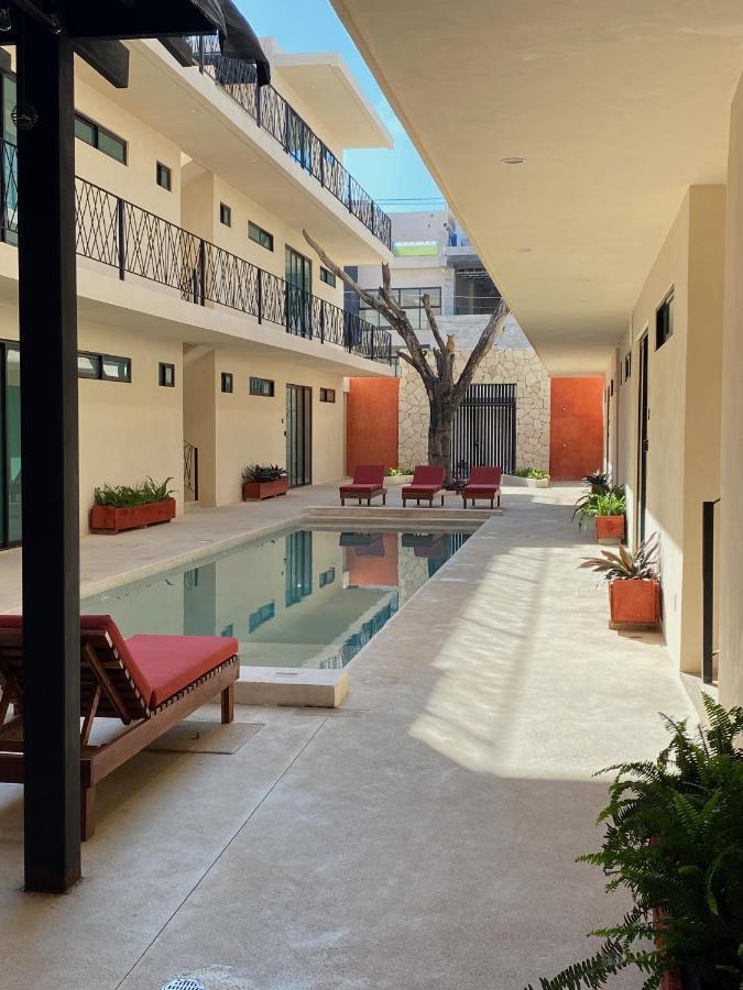 شقة La Casa Del Buho تولوم المظهر الخارجي الصورة